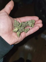 A. review photo