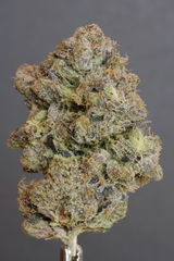 D.O. review photo
