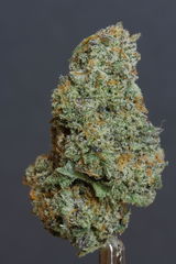 D.O. review photo