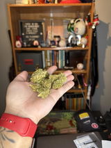 Ace review photo