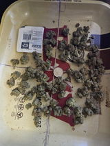 S.A. review photo