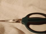 Maia H. review photo