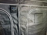Ryan P. review photo