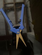Kane N. review photo