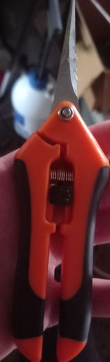 Anton O. review photo