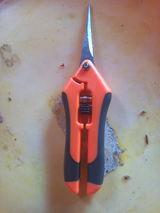 Anton O. review photo