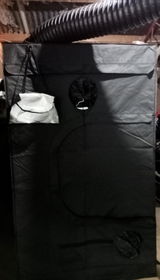 Lohnie P. review photo