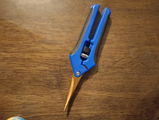 Jae E. review photo