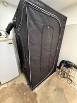 Kane C. review photo
