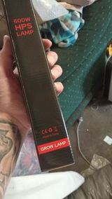 Kyle B. review photo