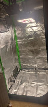 Blake H. review photo