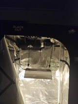 Dwayne H. review photo