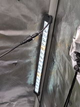 RS review photo
