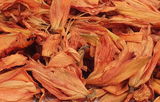 Lilliana review photo