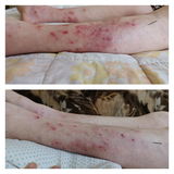 Juli review photo