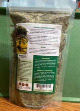JackiCacti review photo