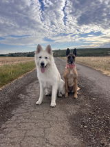 Foto von Paula S.