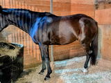 Valery Kennedy-Lower review photo