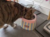 Rachel Munton review photo