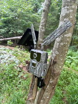 Tree Mount for Trail Camera Dual Ball Swivel