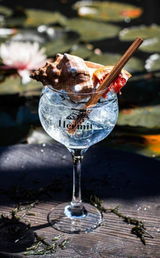 Ginlover review photo