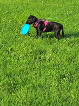 Jessy review photo