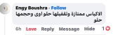 Engi Boushra review photo