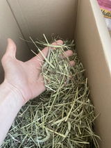 Anonym review photo