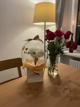 Rochi review photo