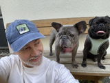 Joachim mit Gizmo&Meggie review photo