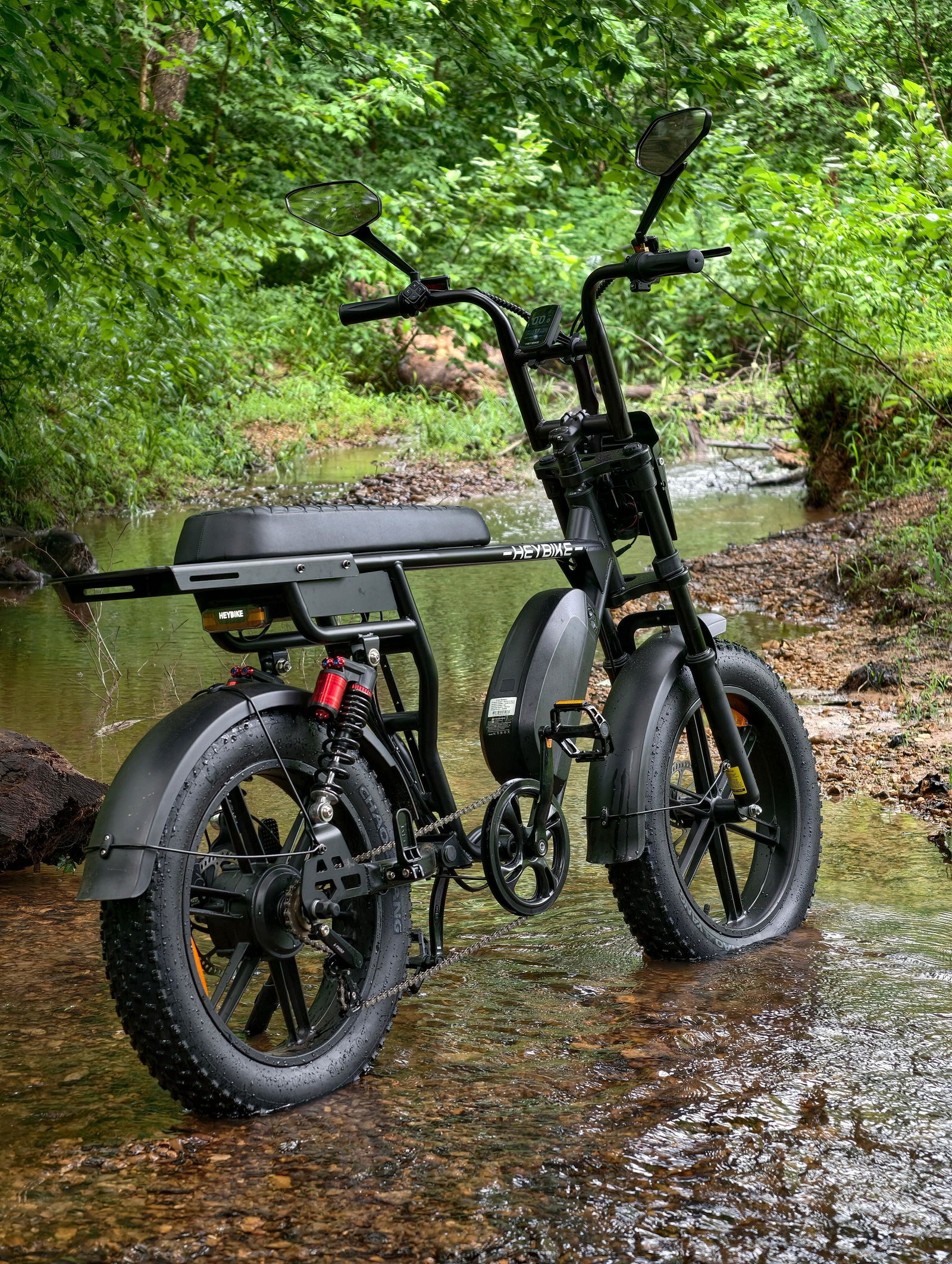Customer photo of Heybike Saturn Moped-Style Electric Bike