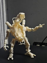 Austin R. review photo