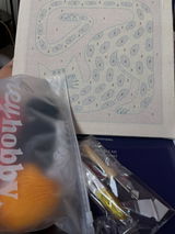 cat c. review photo