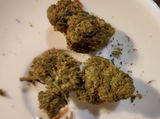 Burnsi review photo