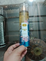 sadafnaz review photo