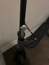 Rasta R. review photo