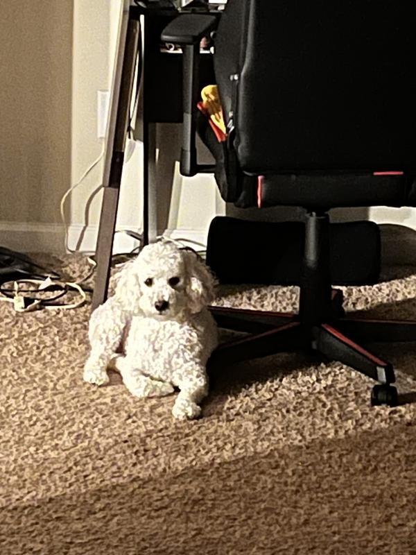 Anonymous review photo