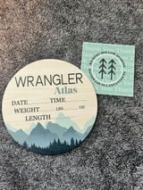 Bridget Beier review photo