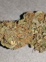 Royus review photo