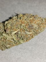 Royus review photo