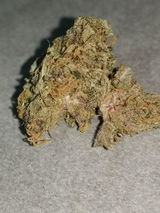 Royus review photo