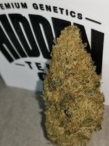 Royus review photo
