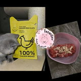 Tarantino British Shorthairs review photo