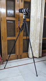 Arman Lohia review photo