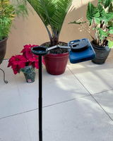 Rohan Gupta review photo