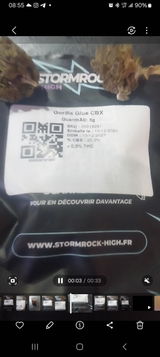 Caillaudmickael review photo