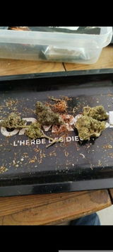 Anonyme review photo