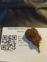 Anonyme review photo