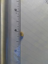 Allen G. review photo