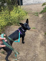 Jill D. review photo